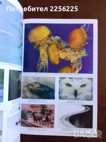 Осми международен фото салон Пловдив 2021г, снимка 7 - Енциклопедии, справочници - 50695846