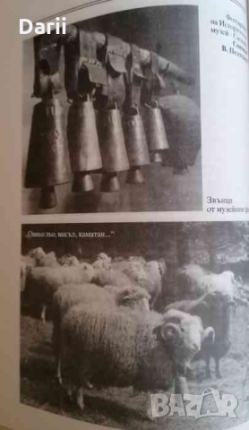 Камбаната: Бит, обред, мит Ангел Янков, Георг Краев, снимка 3 - Българска литература - 36034268