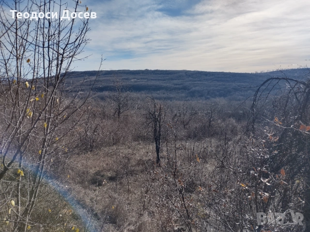 Продавам земеделска земя , снимка 8 - Земеделска земя - 53243811