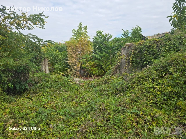 почистване Косене на трева кърти, снимка 7 - Хамалски услуги - 53224029