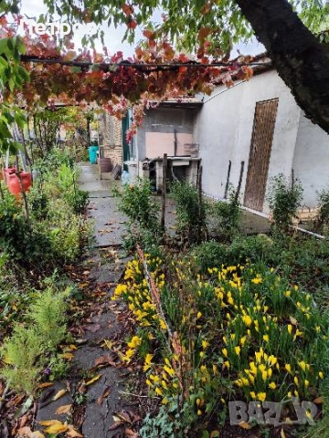 продавам селски имот с къща, снимка 2 - Къщи - 52532130