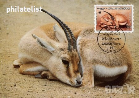 Либия 1987 - 4 броя Карти Максимум - WWF, снимка 4 - Филателия - 38842591