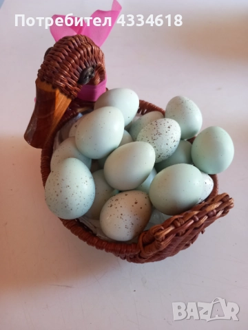 Яйца от пъдпъдъци , снимка 2 - Домашни продукти - 52911123