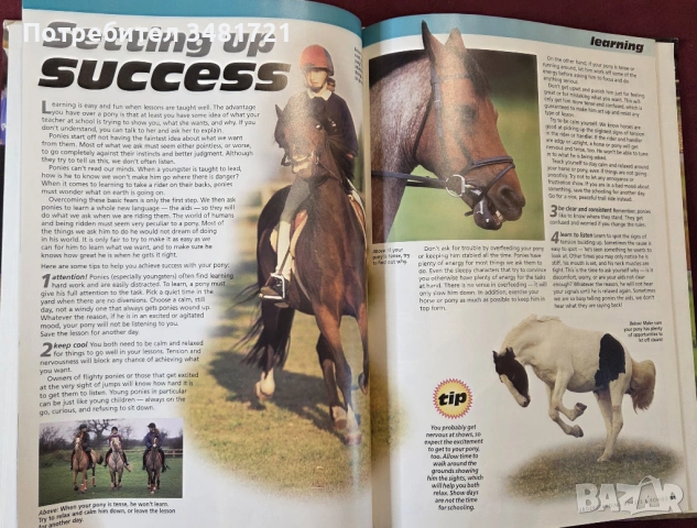 Илюстриран справочник - коне и понита / The Complete Guides to Horses and Ponies, снимка 9 - Енциклопедии, справочници - 53748600