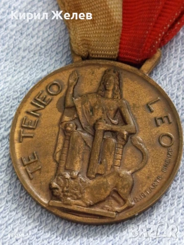 Рядък медал ИТАЛИАНСКА ДИВИЗИЯ ГАВИНАНА за КОЛЕКЦИЯ 60561, снимка 6 - Антикварни и старинни предмети - 51050185