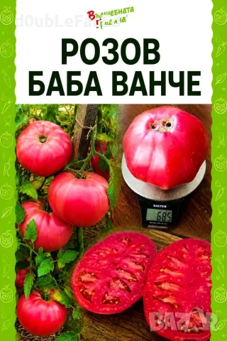 Семена от нехибридни сортове , снимка 5 - Сортови семена и луковици - 56155541