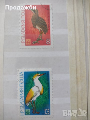 Красива колекция български пощенски марки с птици