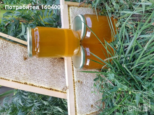Пчелен мед.Нова реколта 2025, снимка 1
