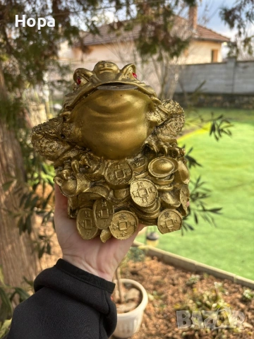 Трикрака жаба с паричка в устата