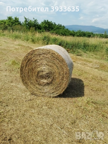 свободни Бали сяно мн добро дъжд не го е валяло
