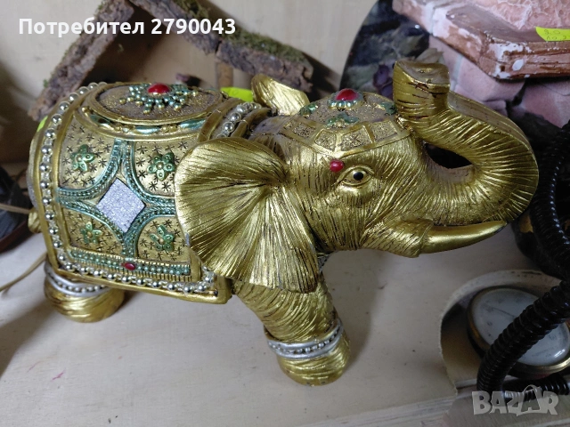 слонче индииско