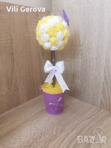 Дръвчета от розички, снимка 3 - Други - 35665877