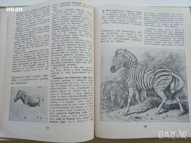 По следите на изчезналите животни - Николай Йовчев - 1982г., снимка 4 - Наука, техника и компютри - 56207814