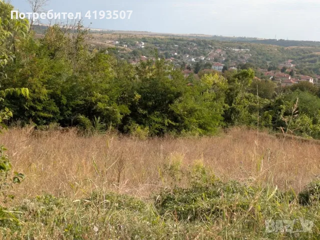 Парцел с ток и вода в с.Басарбово