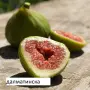 Смокиня  / Разсад Студоустойчиви - Налични 8 сорта, снимка 2