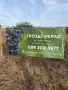 🍇 ПРОДАВАМ ВИНЕНО ГРОЗДЕ МЕРЛО – ДИРЕКТНО ОТ ПРОИЗВОДИТЕЛ, ЛОМ, снимка 2