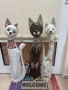Котка от дърво . Намалени с дефект !, снимка 1