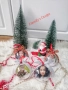 Коледни топки със снимки ♥️, снимка 7