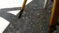 Разтегателен статив/ трипод/ - дървен за камери и фотоапарати, снимка 3