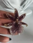 Брошки с естествен цвят на орхидея. , снимка 9