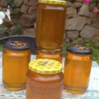 Билков мед реколта 2023г, снимка 2 - Пчелни продукти - 41865155