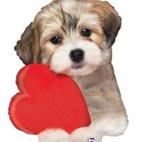 сладко Куче кученце със сърце Свети Валентин фолио фолиев, снимка 2 - Други - 35766215