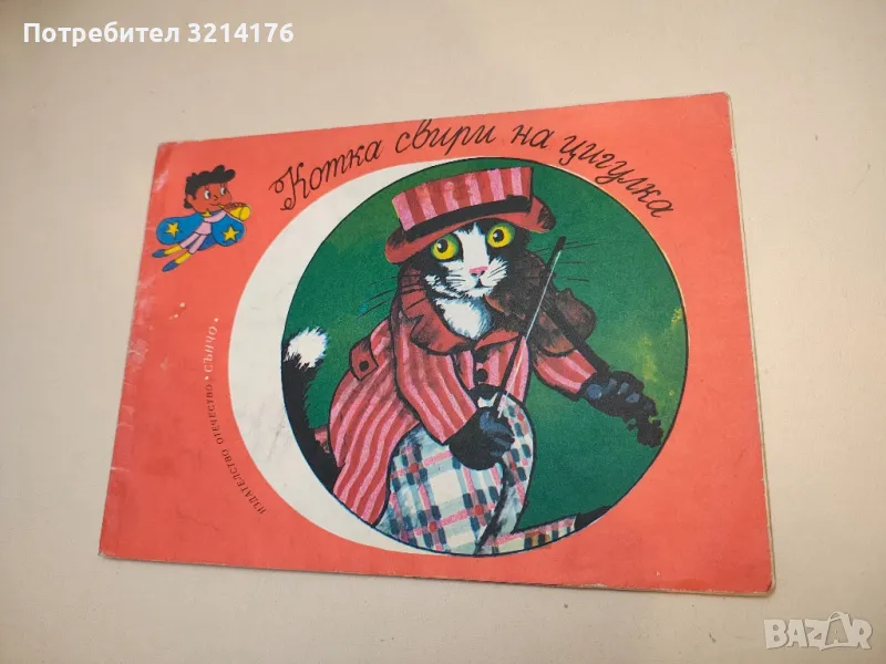 Котка свири на цигулка , снимка 1