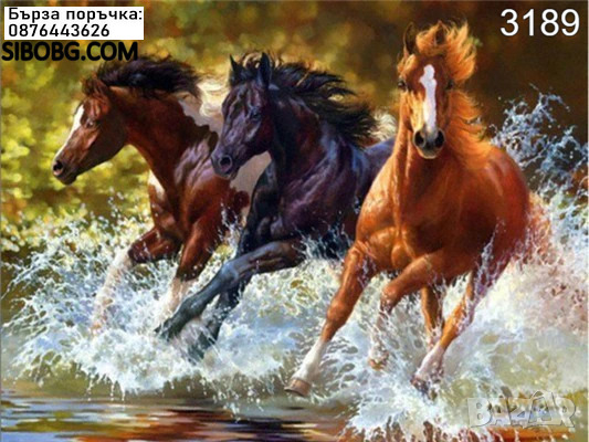 ДИАМАНТЕН ГОБЛЕН Три коня в ручея 3189, снимка 1