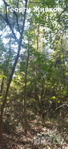 Парцел, снимка 4 - Парцели - 47712585