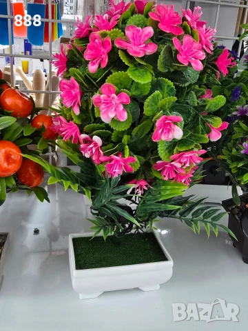 бонзай дръвчета декорация 