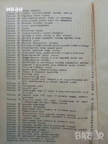 Анатомия Человека - М.Курепикина,Г.Воккен - 1963г. , снимка 16 - Специализирана литература - 39010401