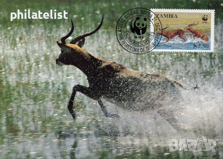 Замбия - 1987 - 4 броя Карти Максимум - WWF, снимка 2 - Филателия - 38843749