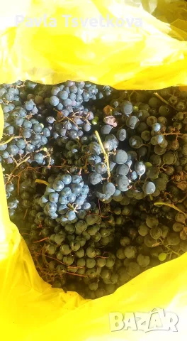 🍇 ПРОДАВАМЕ ГРОЗДЕ – ОТЕЛ, БОИЛИЯ, КАРДИНАЛ 🍇 гр. СОФИЯ, снимка 2 - Домашни напитки - 56193594