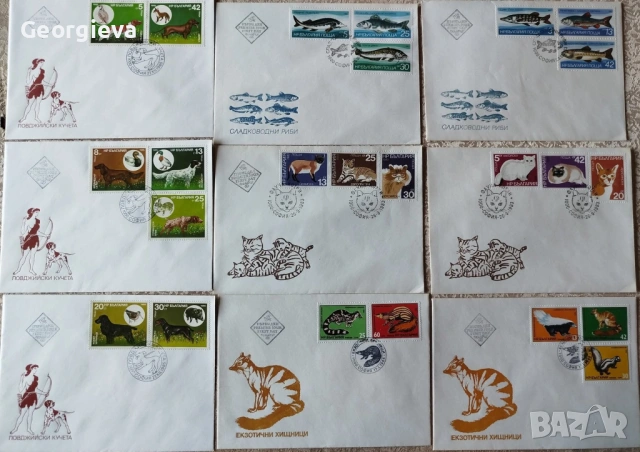 Пощенски пликове, Карти максимум