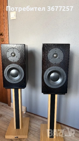 X-project D2.1ex - Swans D2.1