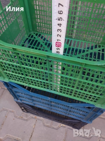 щанги за зеленчуци , снимка 2 - Градински цветя и растения - 51789950