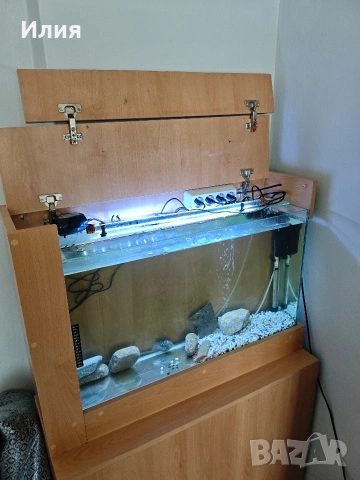 Аквариум с шкаф, снимка 3 - Аквариуми - 53745066
