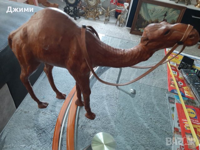 голяма камила от естествена кожа