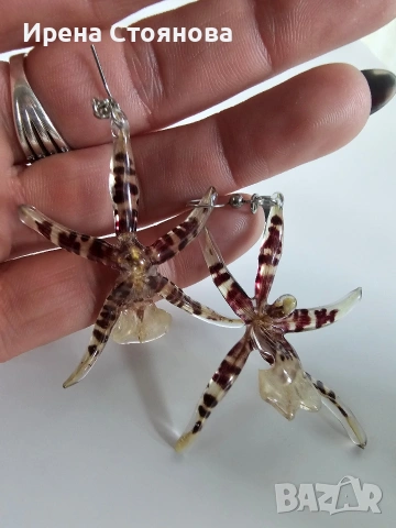 Обеци с естествен цвят на орхидея Brassia, снимка 8 - Обеци - 53662889