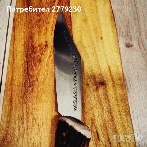 Габровски сойки от колекция Нови!, снимка 13 - Колекции - 50437855