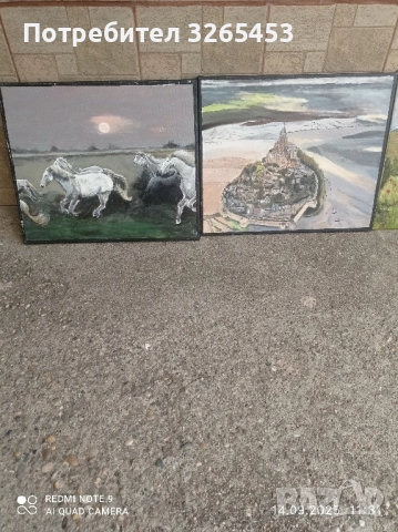 картини платно, снимка 2 - Картини - 51710672
