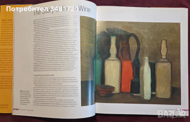 The New Italy. A Complete Guide to Contemporary Italian Wine, снимка 3 - Кулинария - 55817326