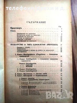 Зоология: Анатомия и систематика на безгръбначните животни, снимка 3 - Антикварни и старинни предмети - 56138172