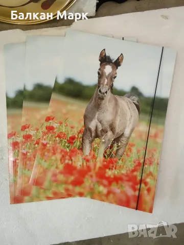 Лот 3 бр. папки за рисунки, чертежи ,A3 Folia с ластик и конче