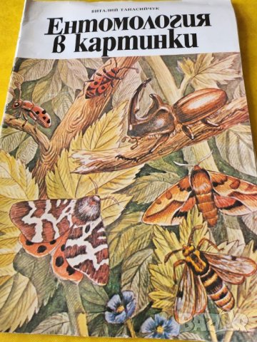 Инсектите в Европа - "Les insects d'Europe" - цв. издание на френски,нова/2. Ентомология в картинки , снимка 4 - Специализирана литература - 32754826