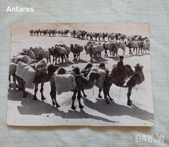 Стара картичка Монголия 