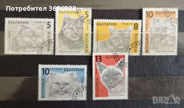 1989 (26 декември). Редовни - котки. , снимка 1 - Филателия - 41553554