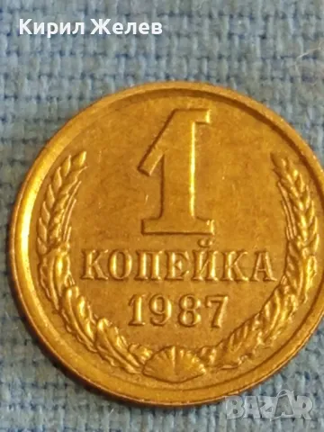 Стара монета 1 копейка 1987г. СССР рядка за КОЛЕКЦИЯ ДЕКОРАЦИЯ 62161, снимка 4 - Нумизматика и бонистика - 48165249