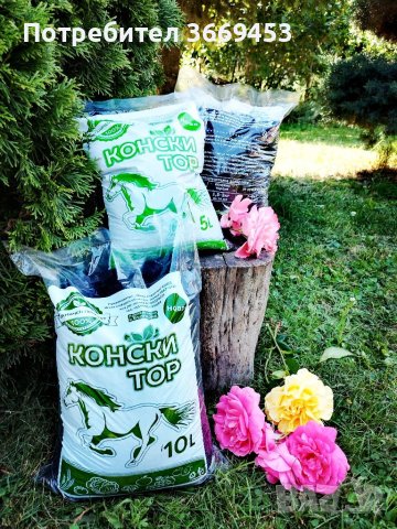 Конски тор, снимка 1