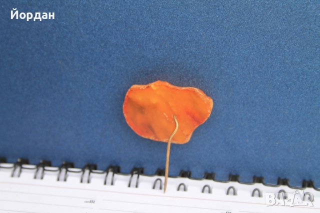 Кехлибарена брошка ''Vilnius'' , снимка 4 - Колекции - 40485814